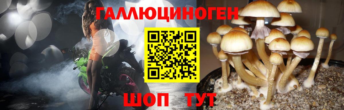 Пыть-Ях  Псилоцибиновые грибы Magic Shrooms  Вход с VPN 